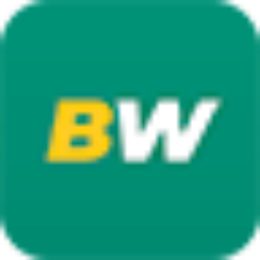 BetWinner logo